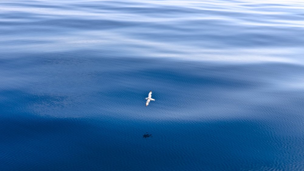 Photograph by Евгений Паршуков