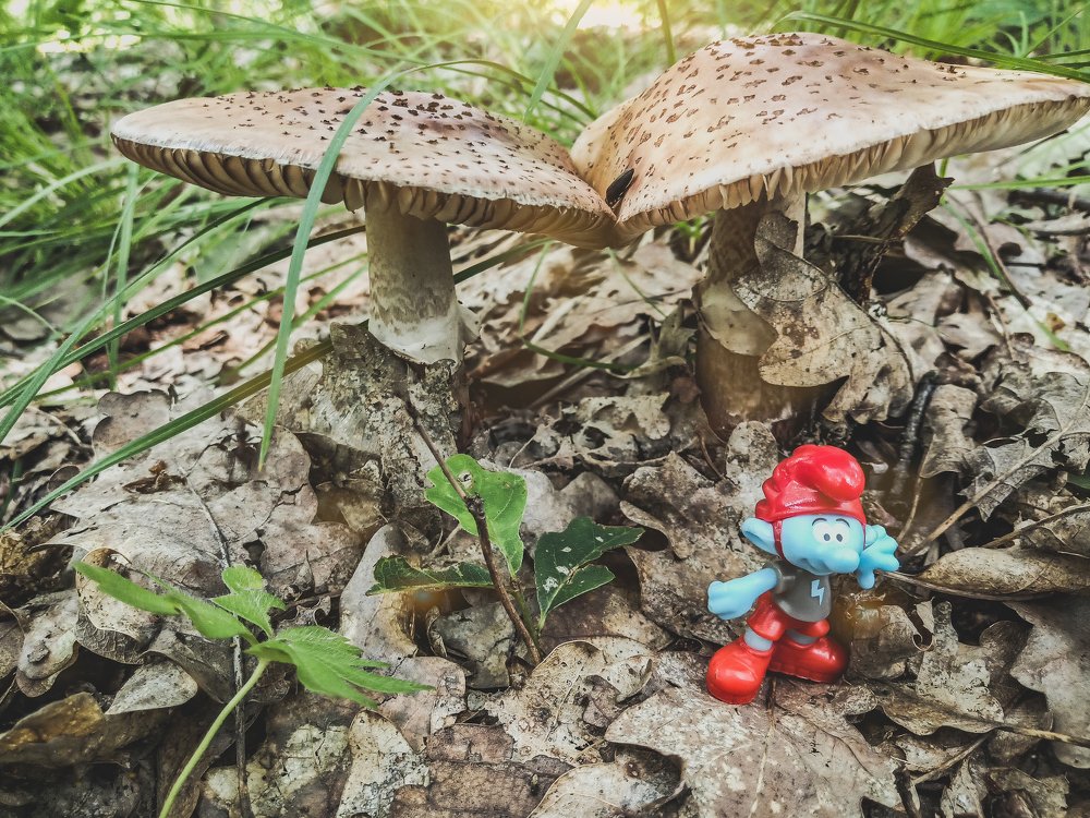 Photograph by Szilveszter Zoltan