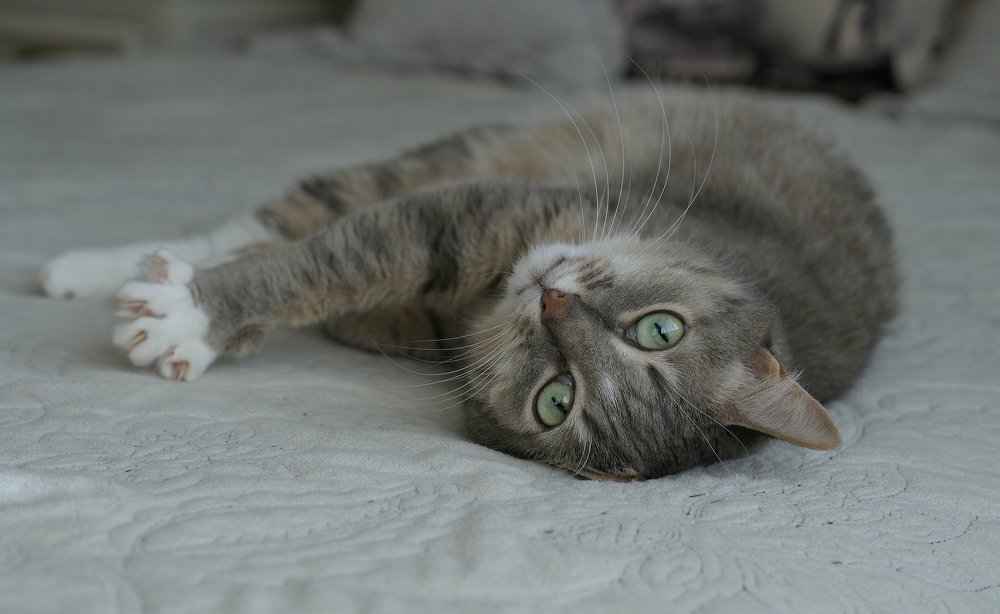 Photograph by Станислав