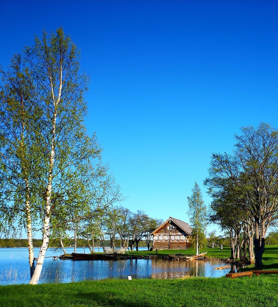 В голубой тиши