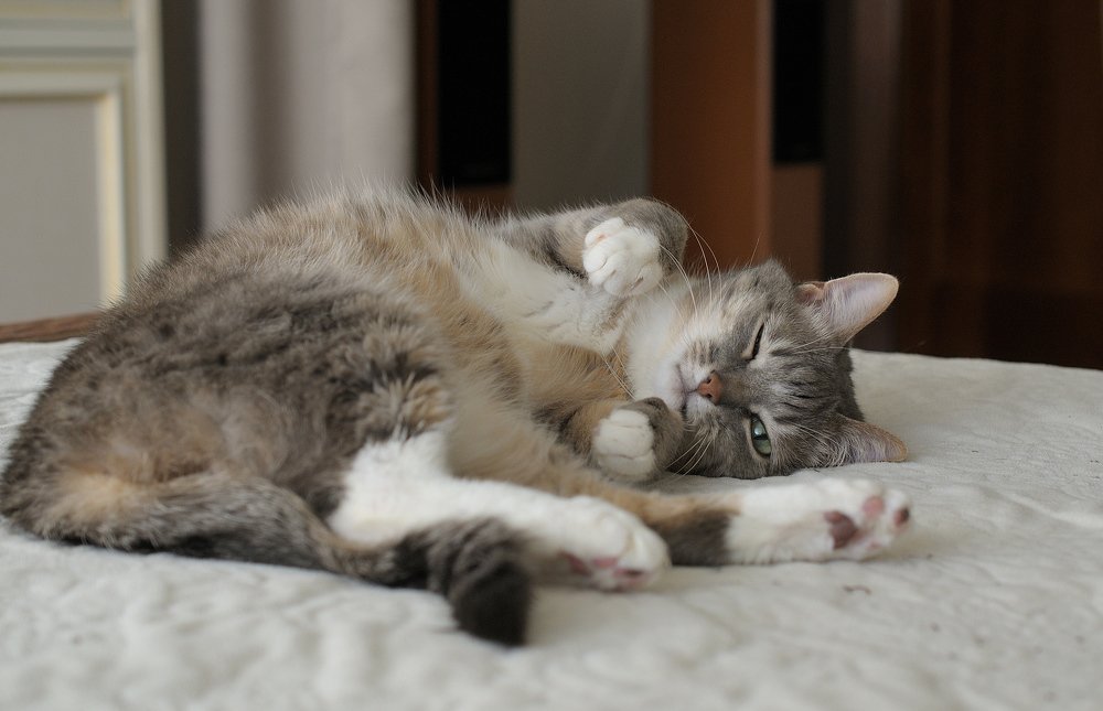 Photograph by Станислав