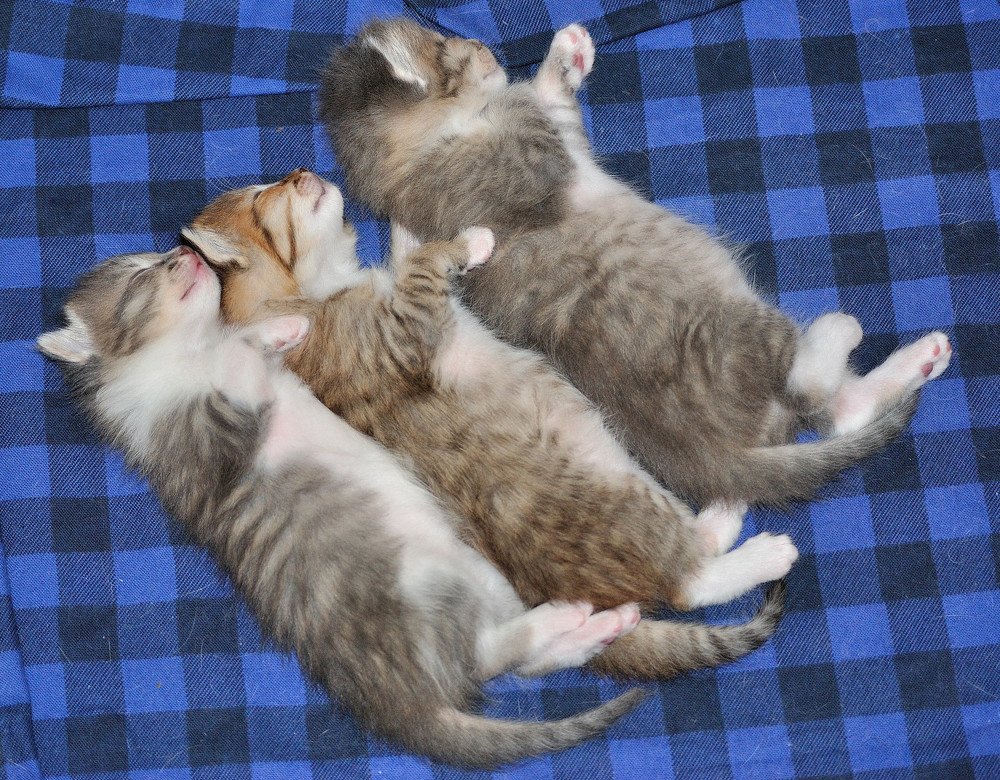 Photograph by Станислав