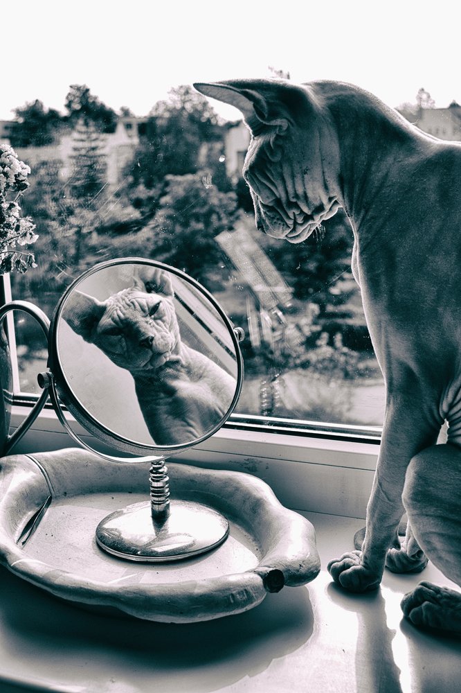 Photograph by Анна Милёшина