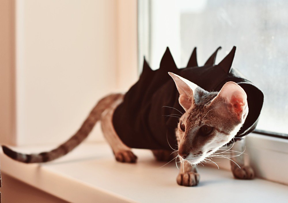 Photograph by Елена Чалых