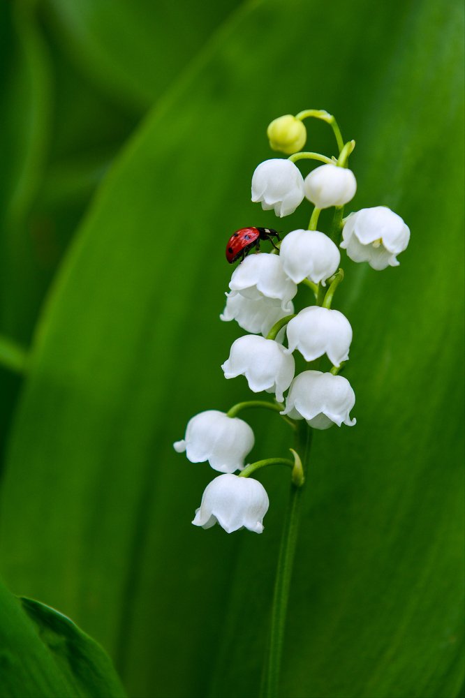Photograph by Анна Дегтярёва