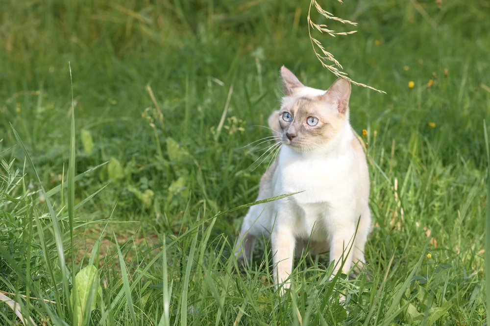 Photograph by Александра Юхневича