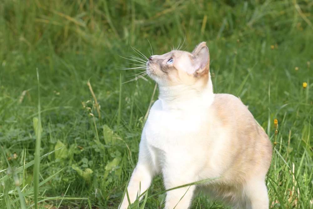 Photograph by Александра Юхневича