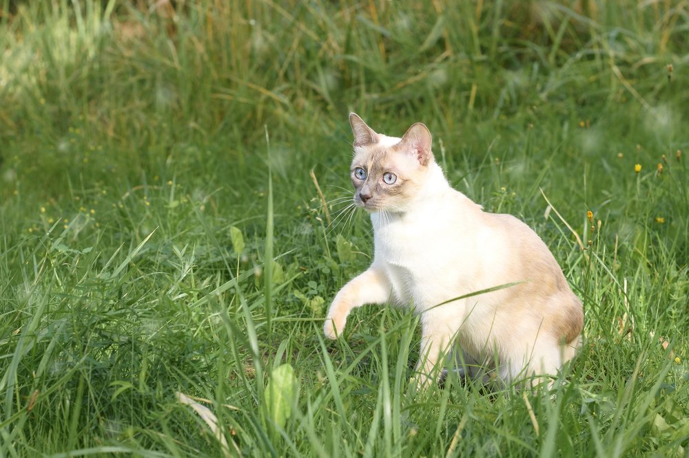 Photograph by Александра Юхневича