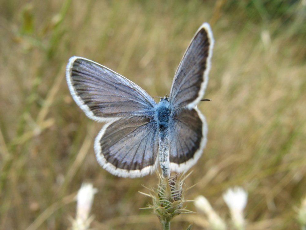 Photograph by Акулина Цветкова