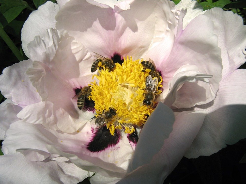 Photograph by Акулина Цветкова
