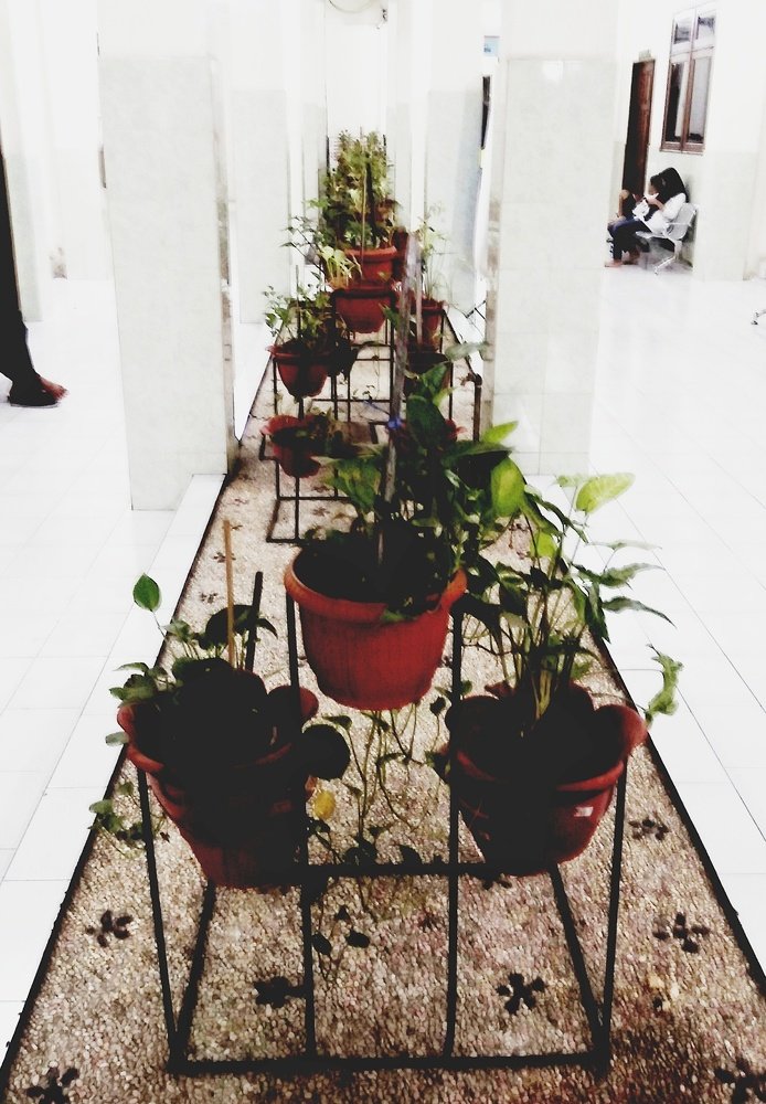 Photograph by dwi rama