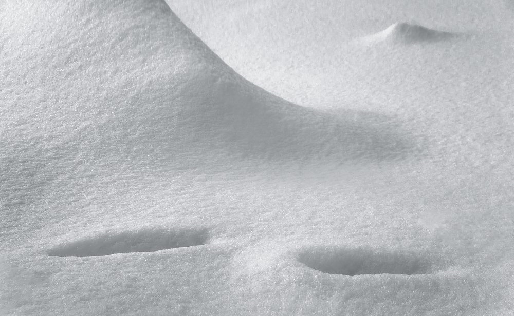 Photograph by олег кирюшкин