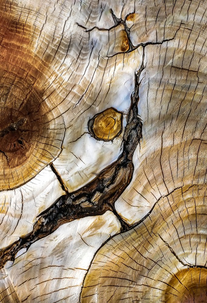 Photograph by олег кирюшкин