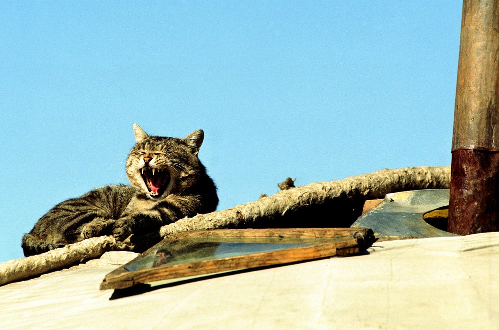 Я пошел спать.