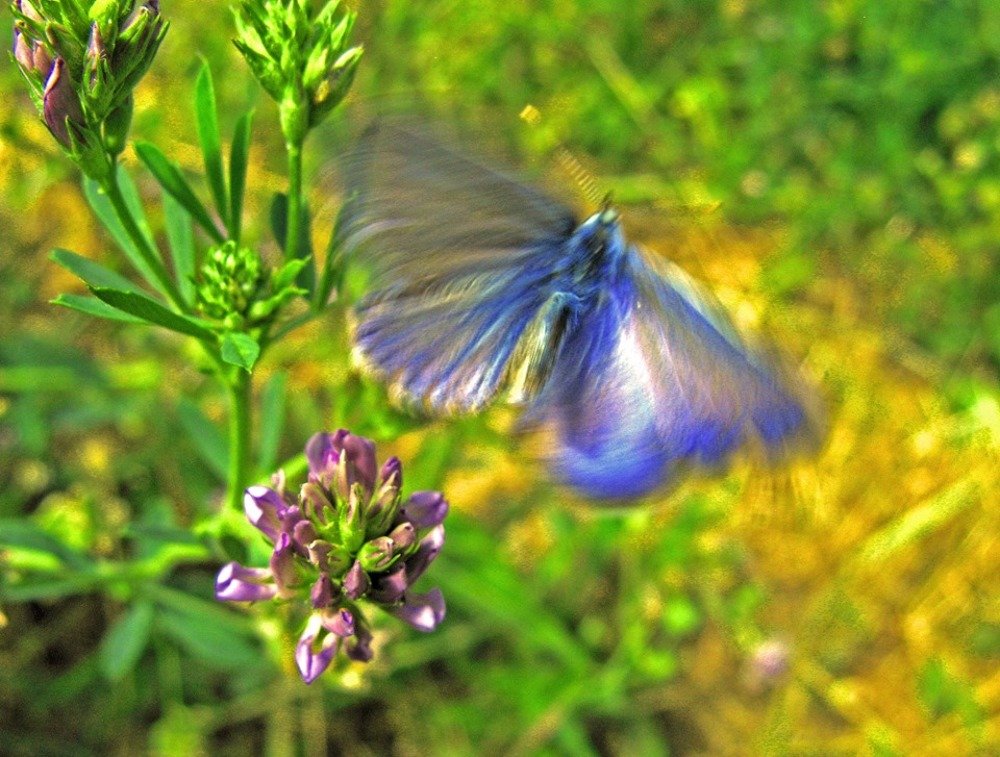 Photograph by Акулина Цветкова