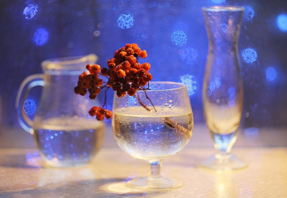 Натюрморт с рябиной