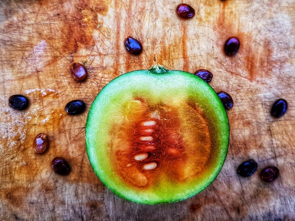 Photograph by Marcin Sokolowski - maarew