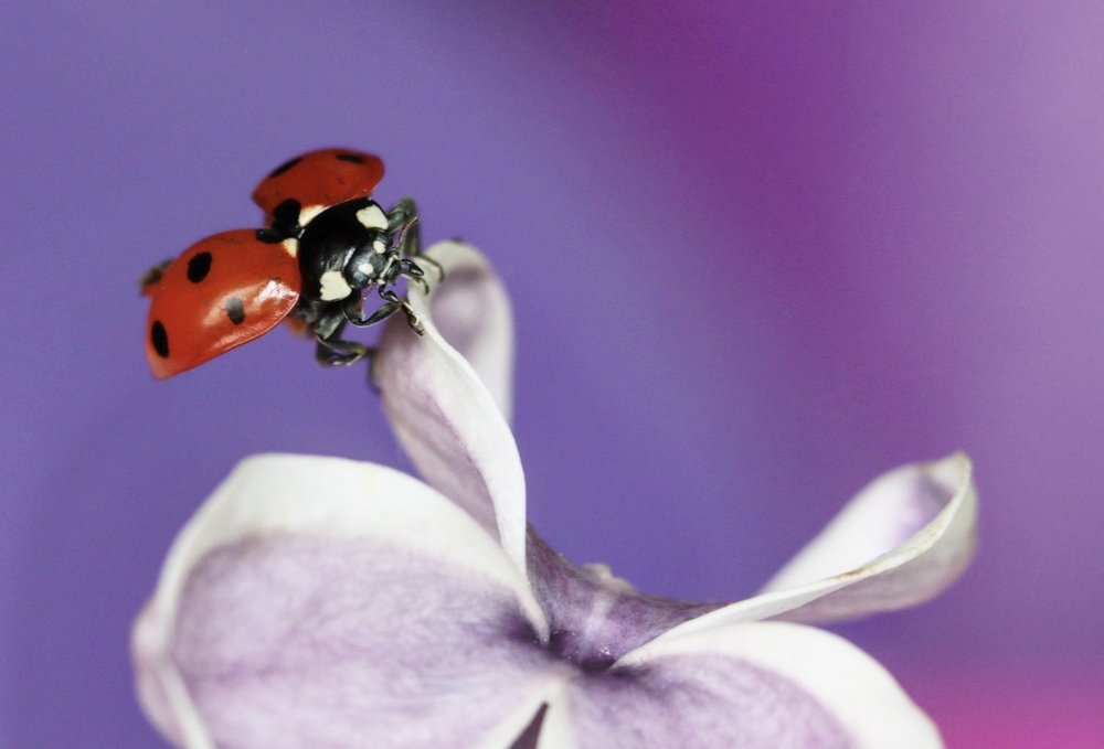 Photograph by Роман Турсков