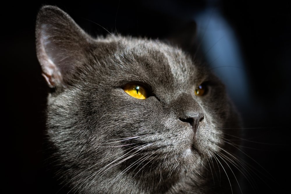 Photograph by Марина Прокопьева