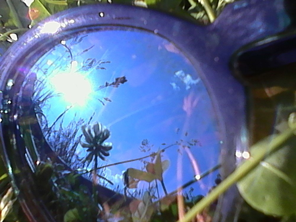 Photograph by Олеся Петрова