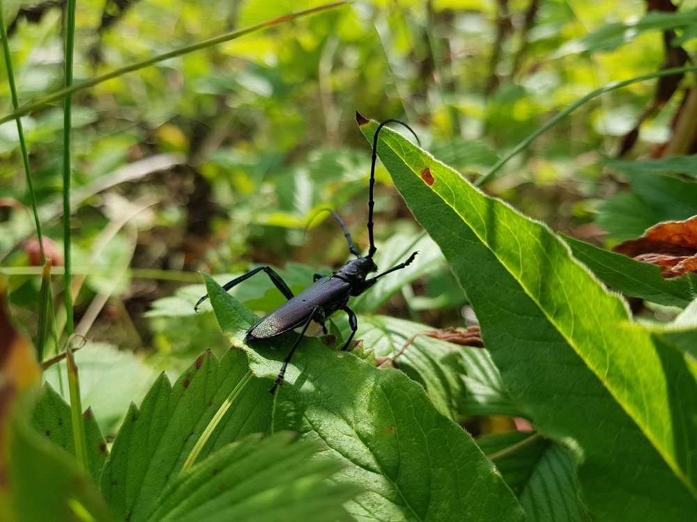 Photograph by Наталья Анисимова
