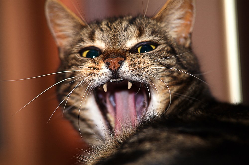 Не доволен!!!