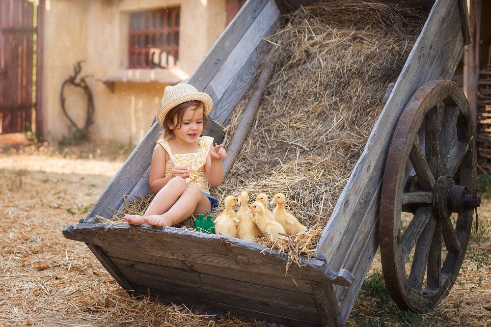 Фотография автора Александра Осадчая