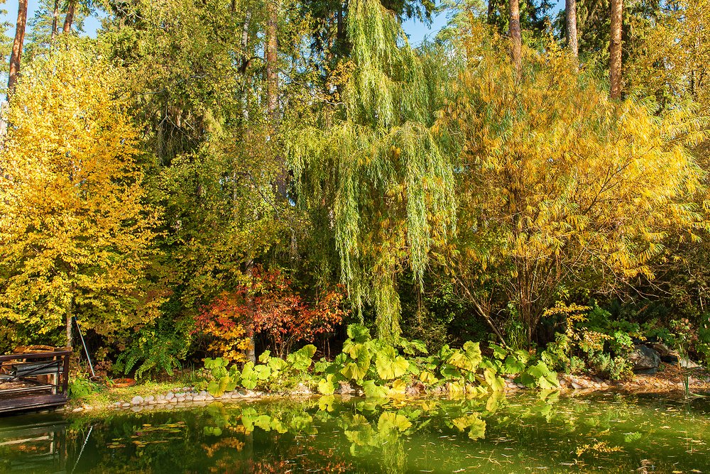 Photograph by Ольга Дядченко