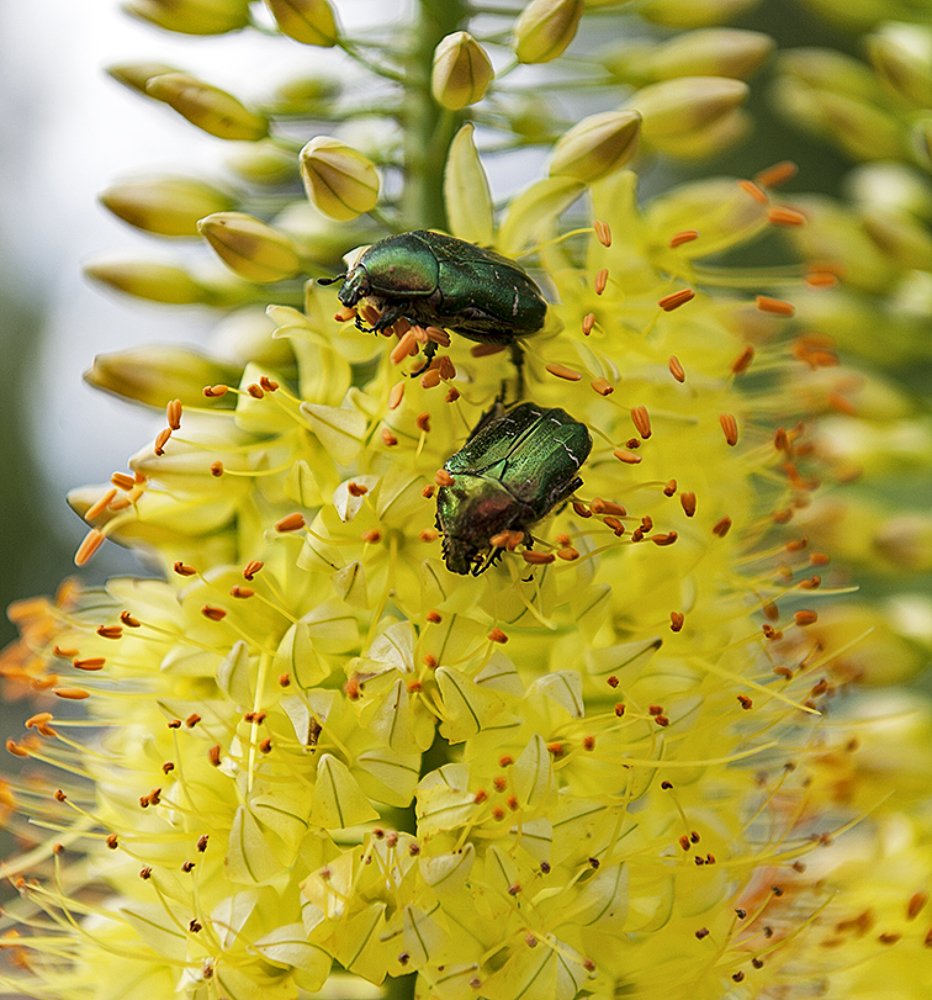 Photograph by Ольга Дядченко