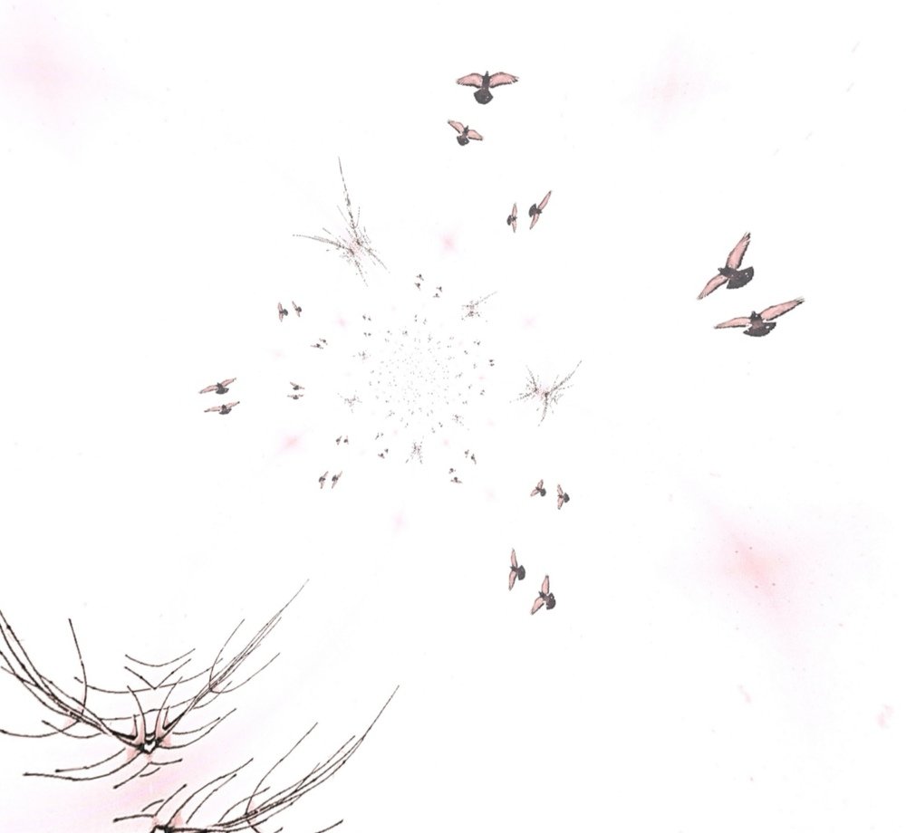 Photograph by Татьяна Чернышова