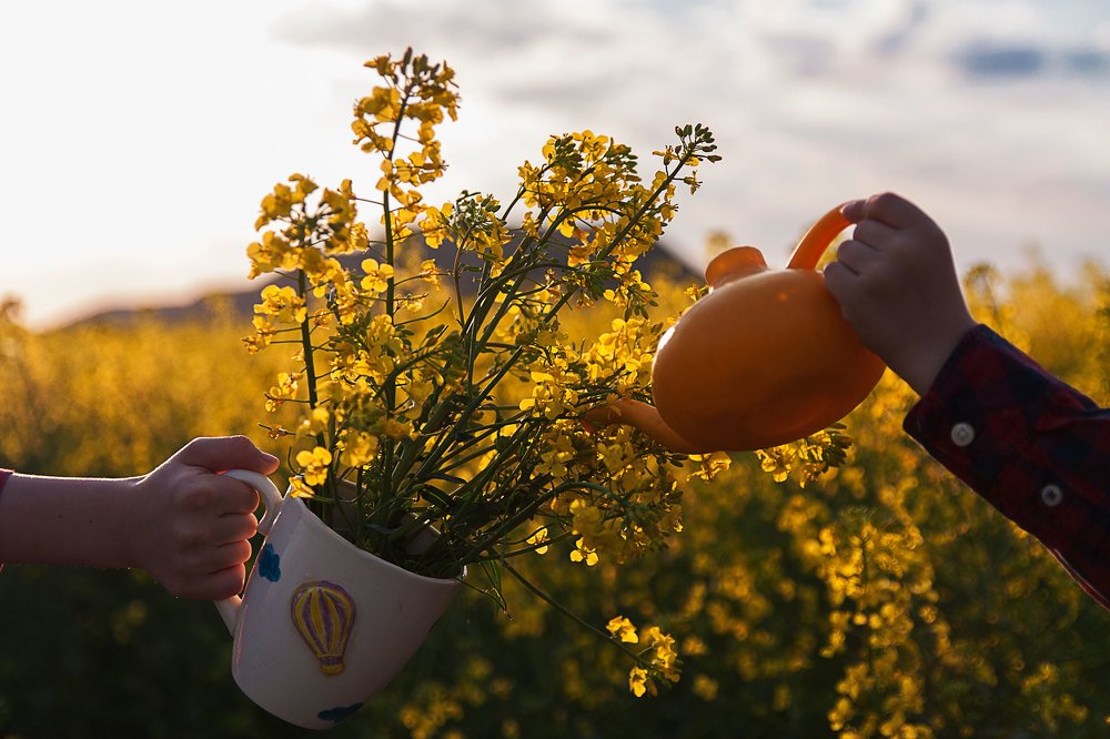 Photograph by Татьяна Мазок