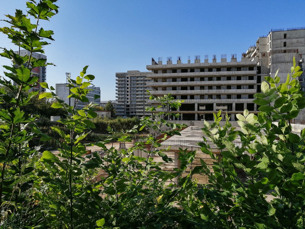 Photograph by Анна Артёменко