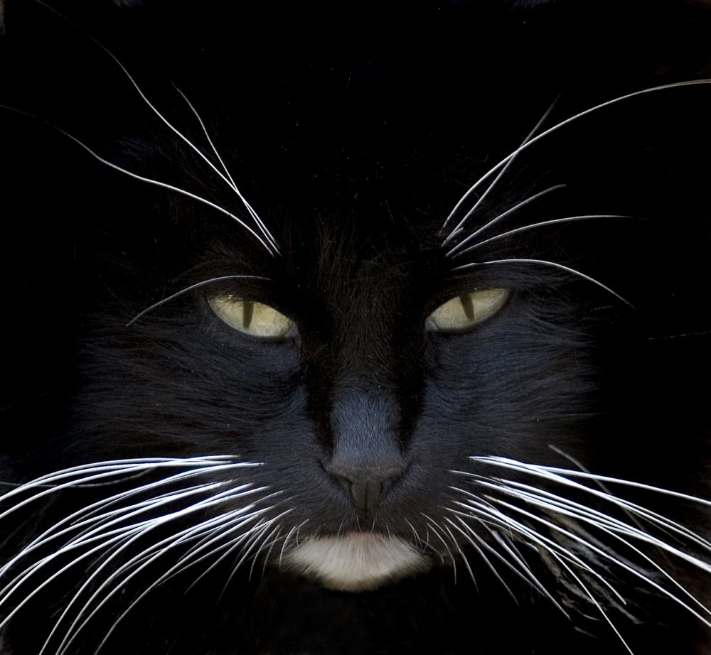 Photograph by Людмила Сиденко