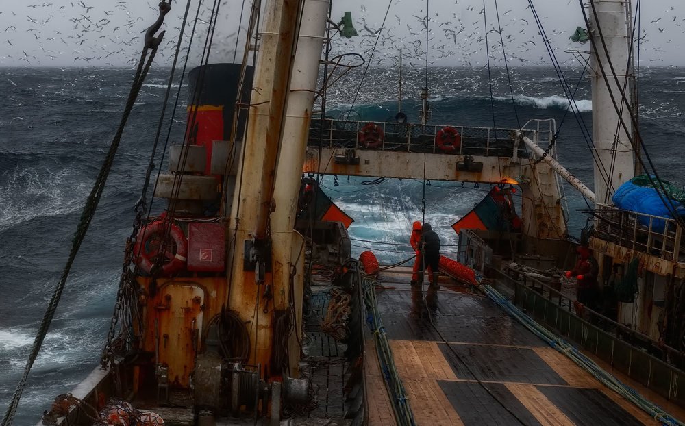 Photograph by Евгений Паршуков