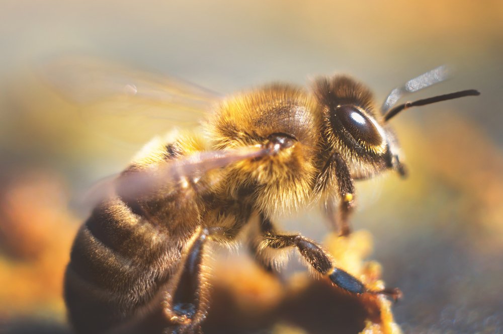 Photograph by Gabriel Wolf