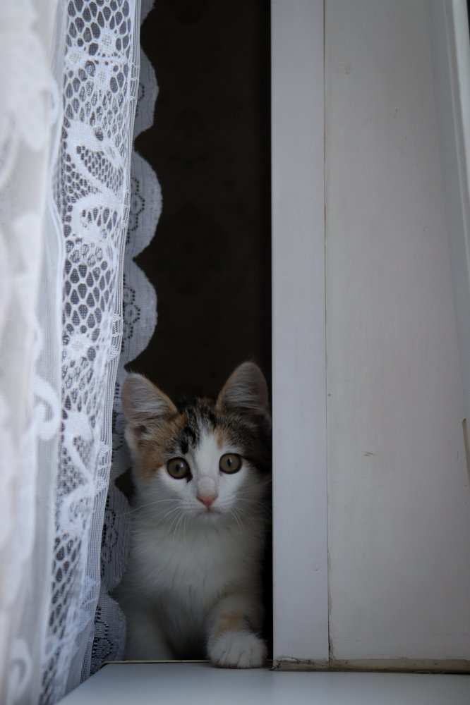 Photograph by Ольга Григорьева