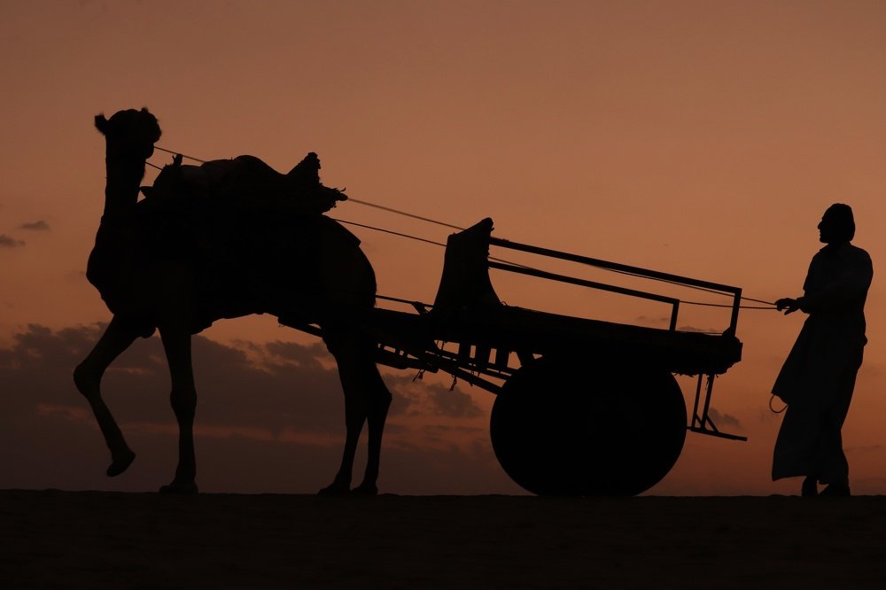 Photograph by Rahul Kumawat