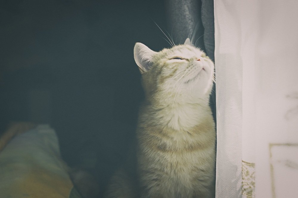 Photograph by Юрий Прокофьев