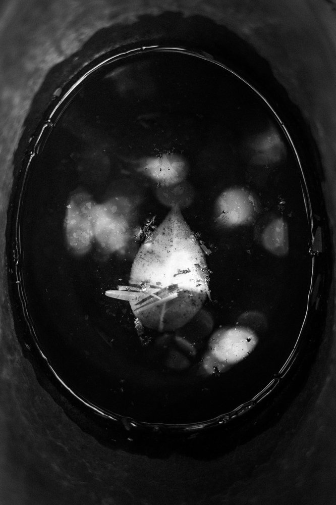 Photograph by Rui Ferreira