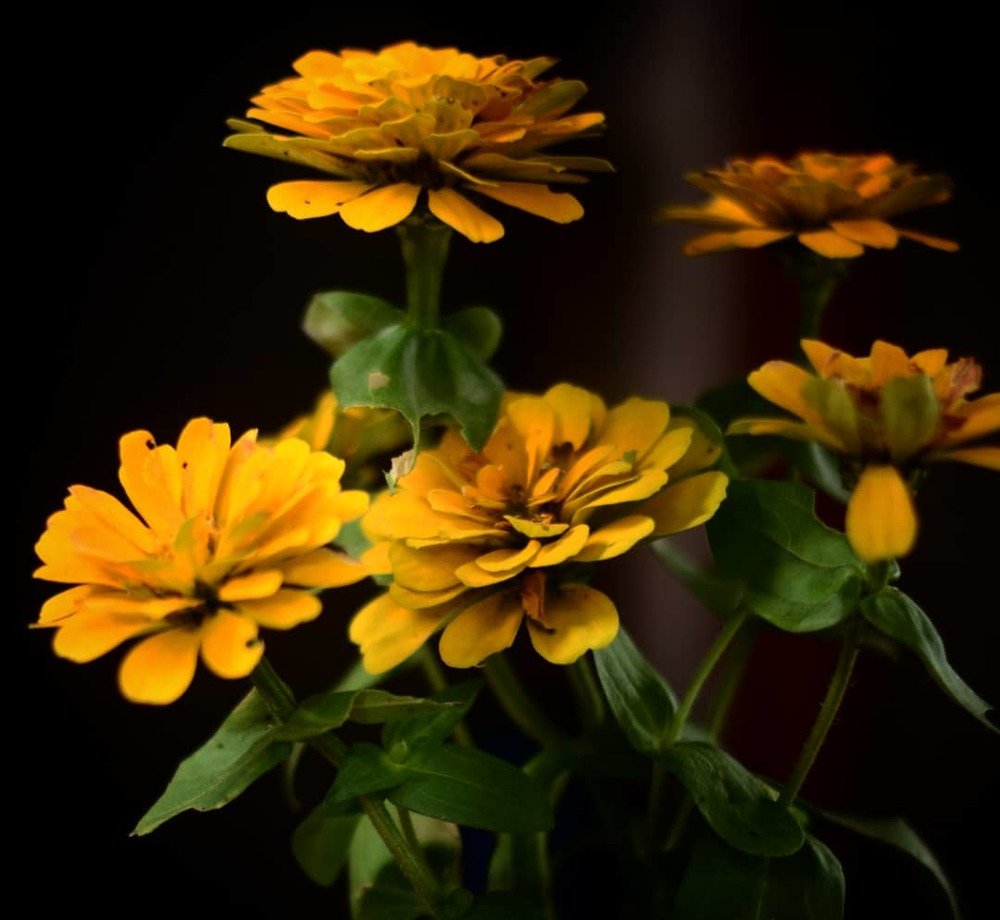 Фотография автора Ashley