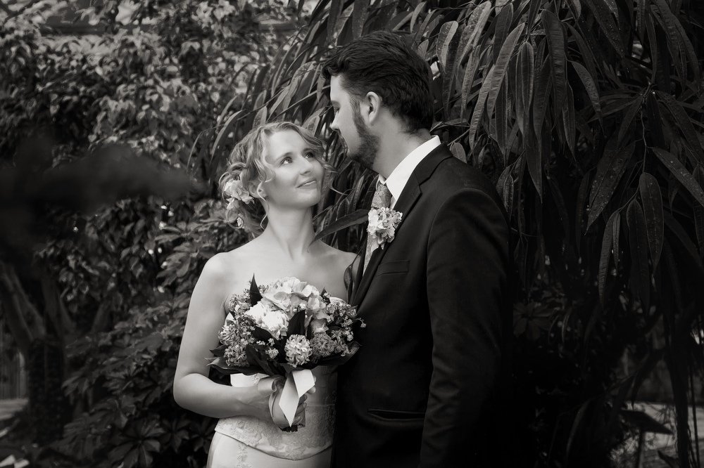 Photograph by Анна Краснянская