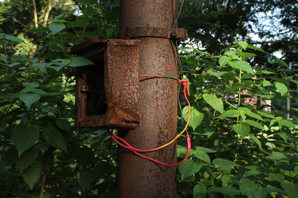 Photograph by Mohammd Asadurjaman Aslam Molla