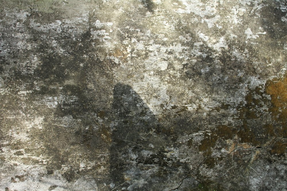 Photograph by Mohammd Asadurjaman Aslam Molla