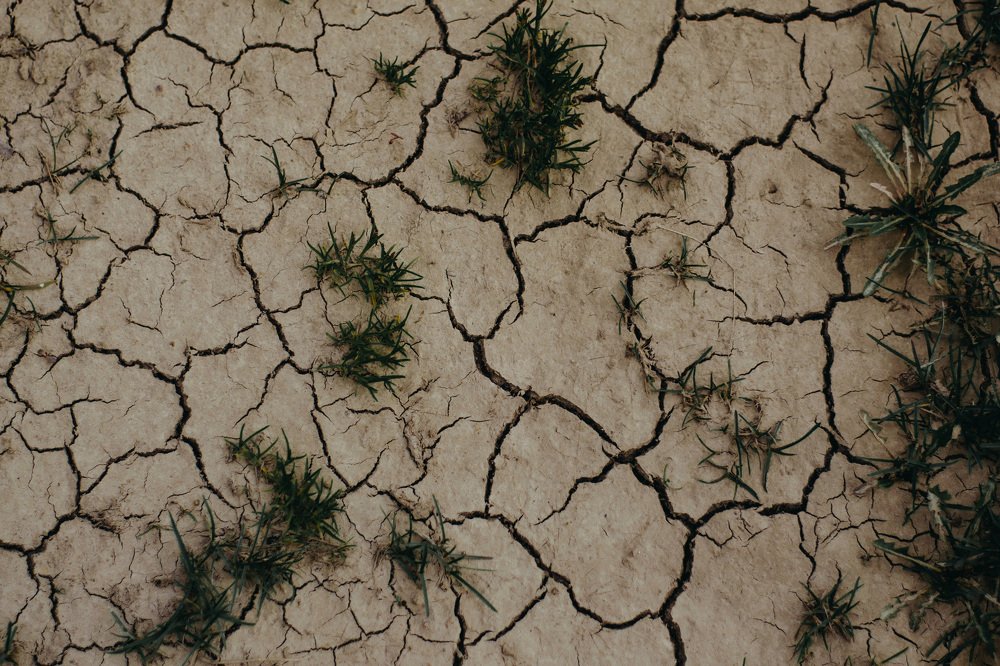 Photograph by Дарья Баклыкова