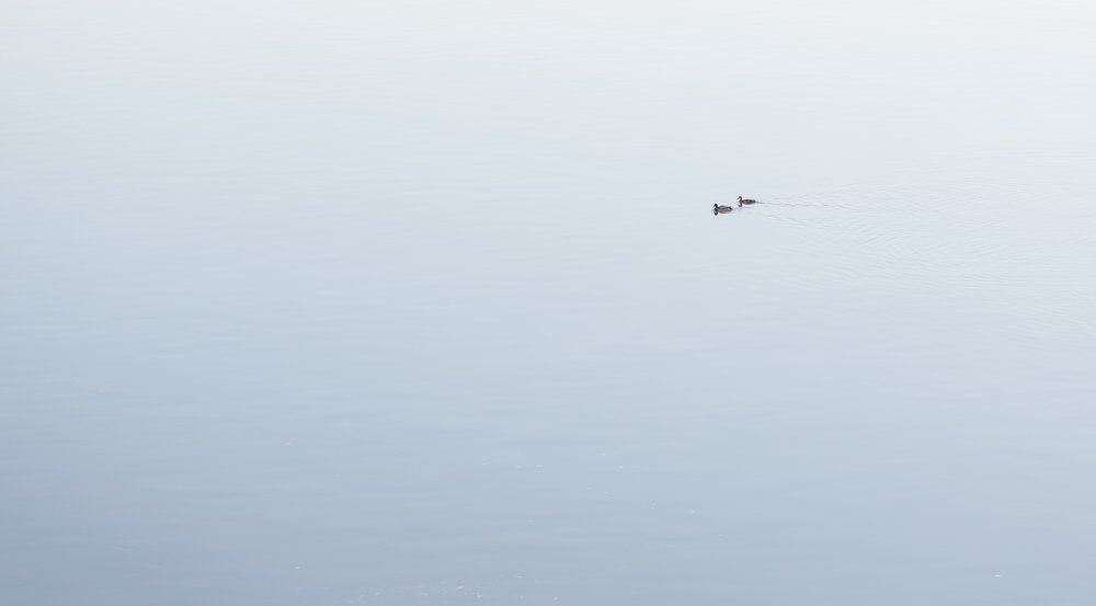 Только мы с тобой