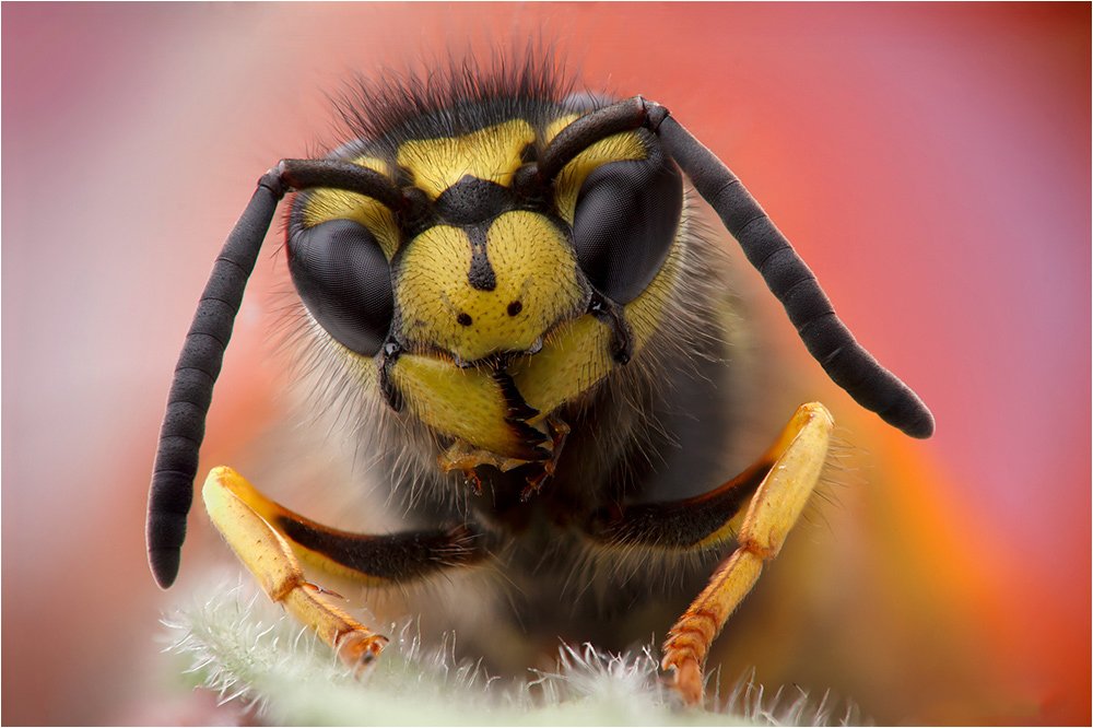 Photograph by Йомка