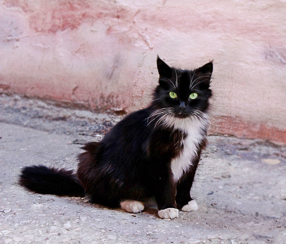 Фотография автора Марина Иванова