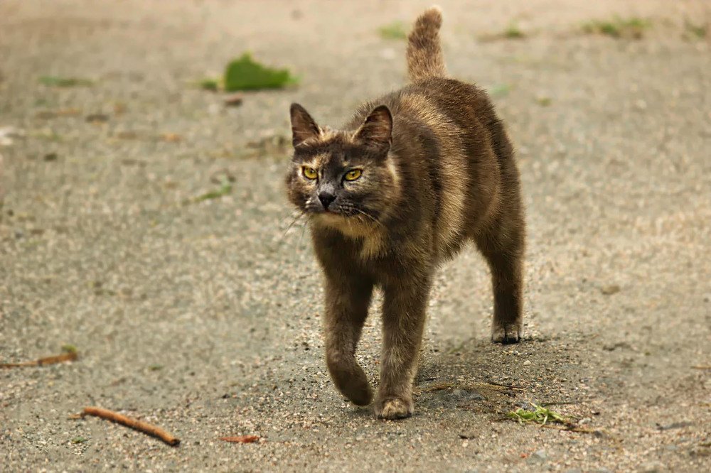 Фотография автора Марина Иванова