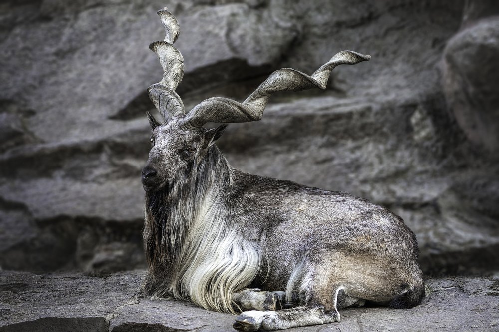 Photograph by Армен Майтесян