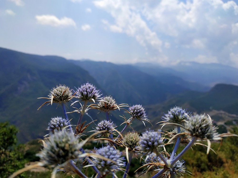 Photograph by Джемма Манукян